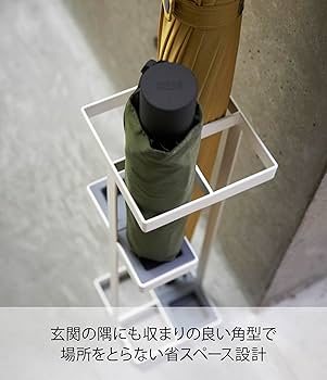 81+Y5Ry55vL._UF350,350_QL80_.jpg